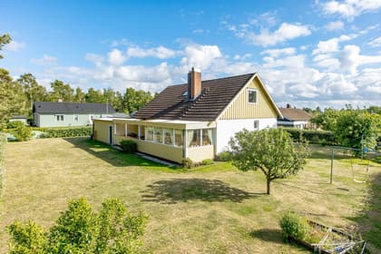 Bild av trädgården