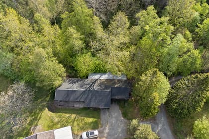 Bild av trädgården