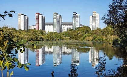 Bild av trädgården