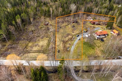 Bild av trädgården