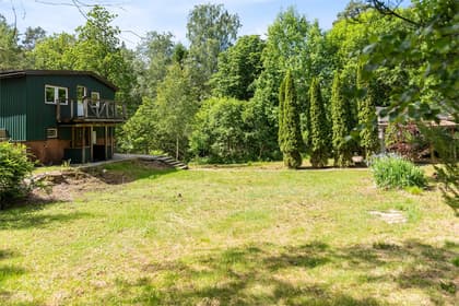 Bild av trädgården