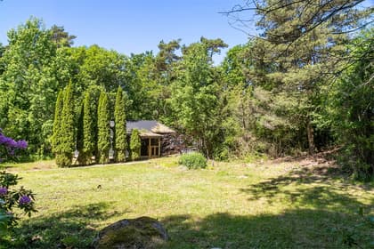 Bild av trädgården