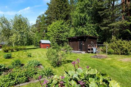 Bild av trädgården