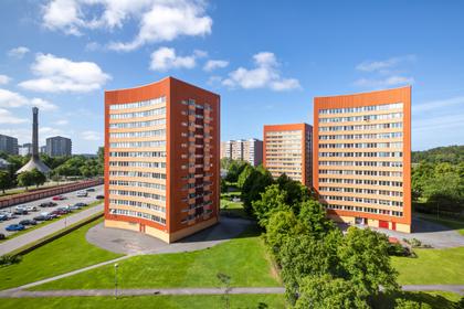 Bild av trädgården