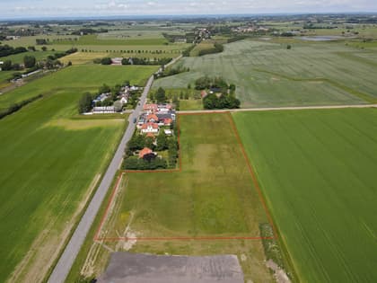 Bild av trädgården