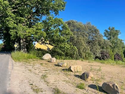 Bild av trädgården