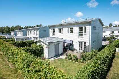 Bild av trädgården