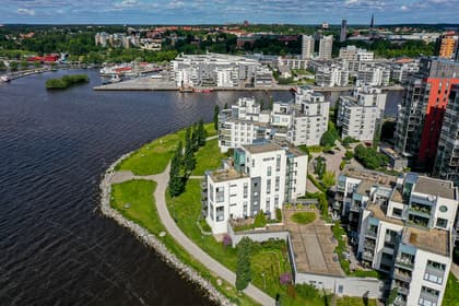 Bild av trädgården