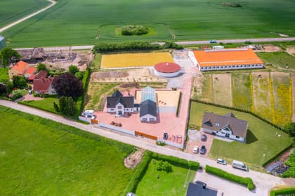 Bild av trädgården