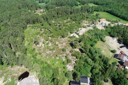 Bild av trädgården