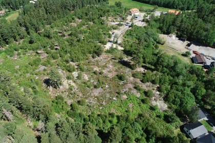 Bild av trädgården