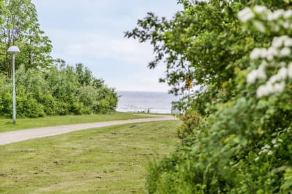 Bild av trädgården