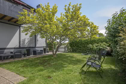 Bild av trädgården