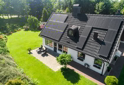 Bild av trädgården