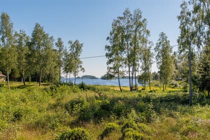 Bild av trädgården