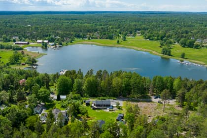 Bild av trädgården