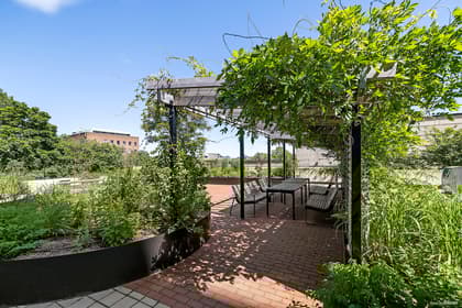 Bild av trädgården