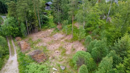 Bild av trädgården