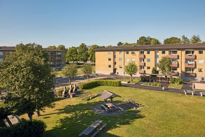 Bild av trädgården