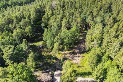 Bild av trädgården