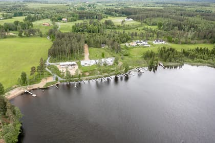 Bild av trädgården