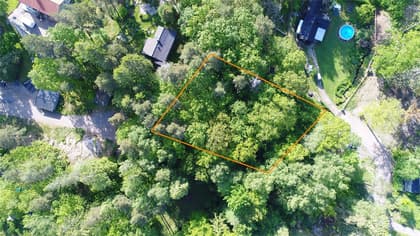 Bild av trädgården