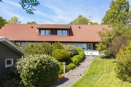 Bild av trädgården