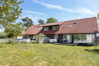 Bild av trädgården