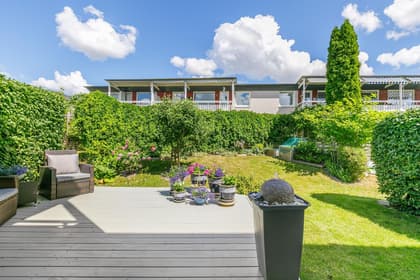 Bild av trädgården