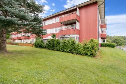 Bild av trädgården