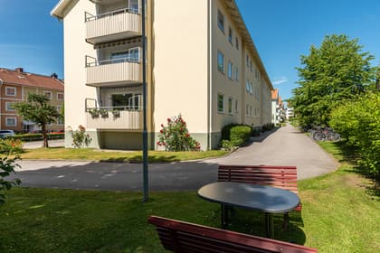 Bild av trädgården