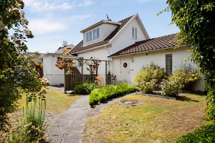 Bild av trädgården