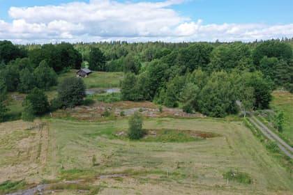 Bild av trädgården