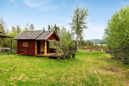 Bild av trädgården