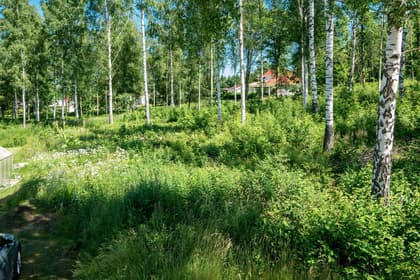 Bild av trädgården