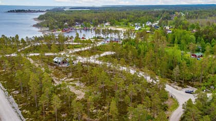 Bild av trädgården