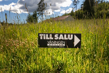 Bild av trädgården