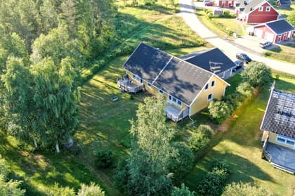 Bild av trädgården