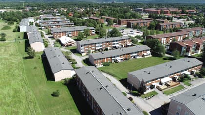 Bild av trädgården