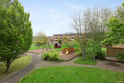 Bild av trädgården