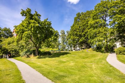 Bild av trädgården