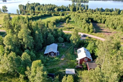 Bild av trädgården