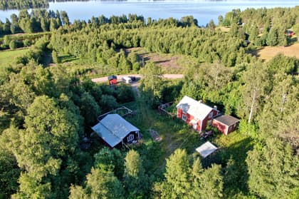 Bild av trädgården