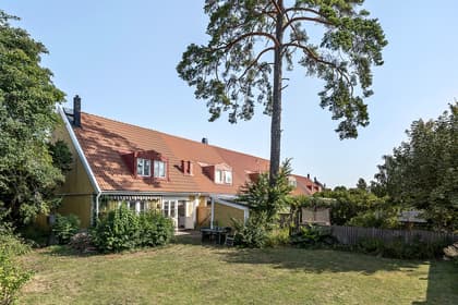 Bild av trädgården