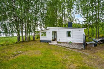 Bild av trädgården