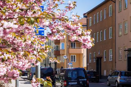 Brantingsgatan 19, Gärdet