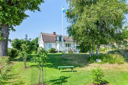 Bild av trädgården