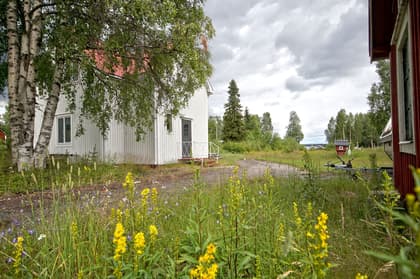 Bild av trädgården