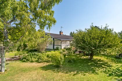 Bild av trädgården