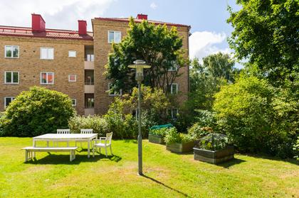 Bild av trädgården